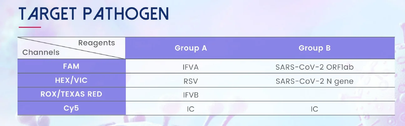 Mầm bệnh mục tiêu Kit PCR virus cúm A-B và virus hợp bào hô hấp ở Người