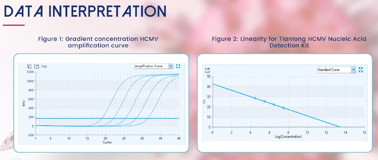 Phân tích dữ liệu Kit phát hiện axit nucleic Human Cytomegalovirus - HCMV ở Người - Phương pháp PCR huỳnh quang
