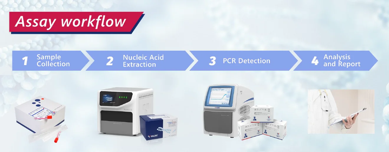 Bộ Kit phát hiện axit nucleic 12 loại virus hô hấp 5 Quy trình xét nghiệm Bộ Kit phát hiện axit nucleic 12 loại virus hô hấp