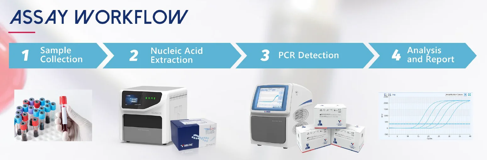 Bộ Kit phát hiện axit nucleic vi-rút sốt xuất huyết Ebola (Zaire) 7 Quy trình xét nghiệm Bộ Kit phát hiện axit nucleic vi-rút sốt xuất huyết Ebola (Zaire)