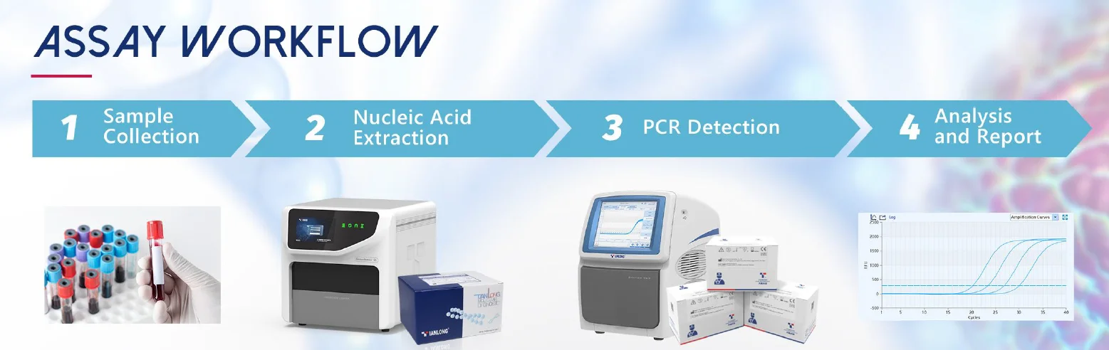 Bộ Kit phát hiện axit nucleic virus ZiKa 7 Quy trình xét nghiệm Bộ Kit phát hiện axit nucleic virus ZiKa