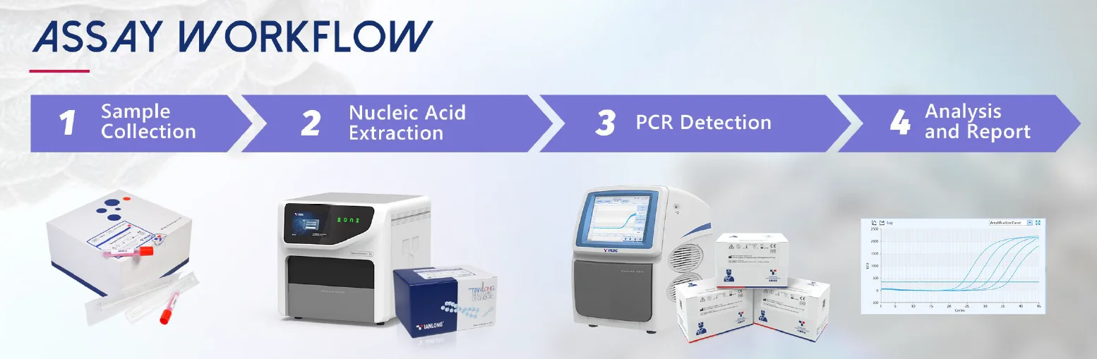 Quy trình xét nghiệm Bộ kit PCR bệnh đậu mùa khỉ virus Monkeypox