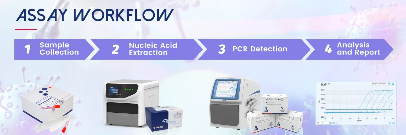 Bộ kit phát hiện axit nucleic SARS-CoV-2 (Phương pháp PCR huỳnh quang)_Vi rút cúm A-B ở người _Vi rút hợp bào hô hấp 6 Quy trinh xet nghiem Bo kit phat hien axit nucleic SARS CoV 2 Phuong phap PCR huynh quang Vi rut cum A B o nguoi Vi rut hop bao ho hap