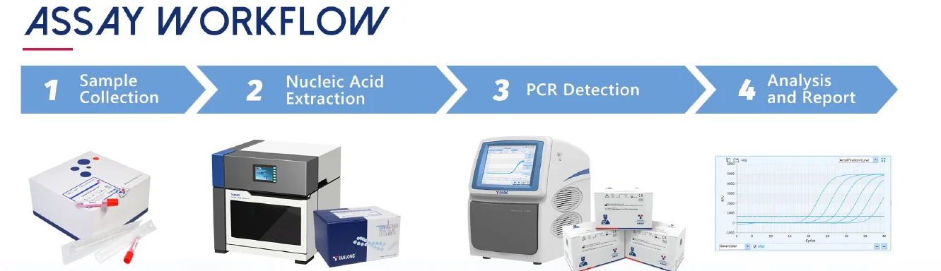 Quy trình xét nghiệm Kit phát hiện đa kênh axit nucleic SARS-CoV-2 (Phương pháp RT-PCR thời gian thực)