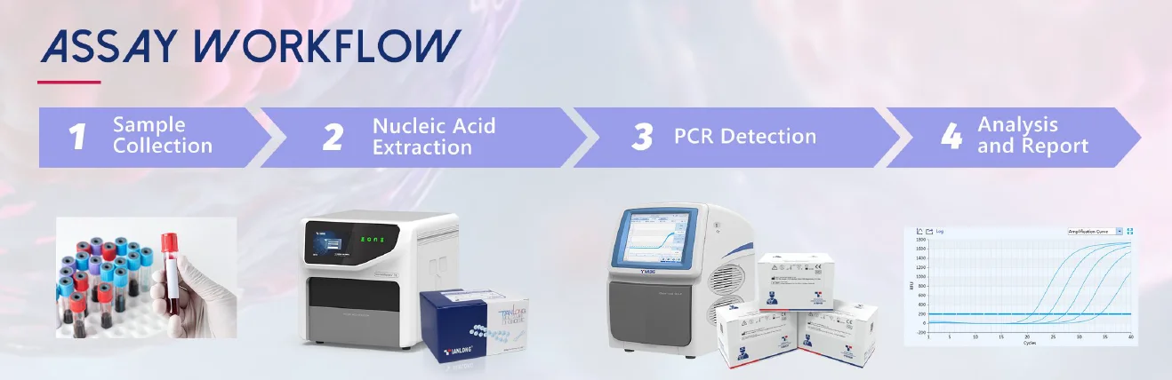 Quy trình xét nghiệm Bộ kit phát hiện axit nucleic của virus EB - EBV - Bệnh bạch cầu đơn nhân