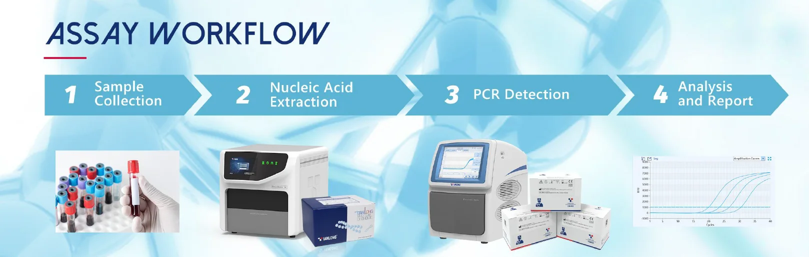 Quy trình xét nghiệm Kit PCR kháng nguyên bạch cầu B27 ở người -Human Leukocyte Antigen