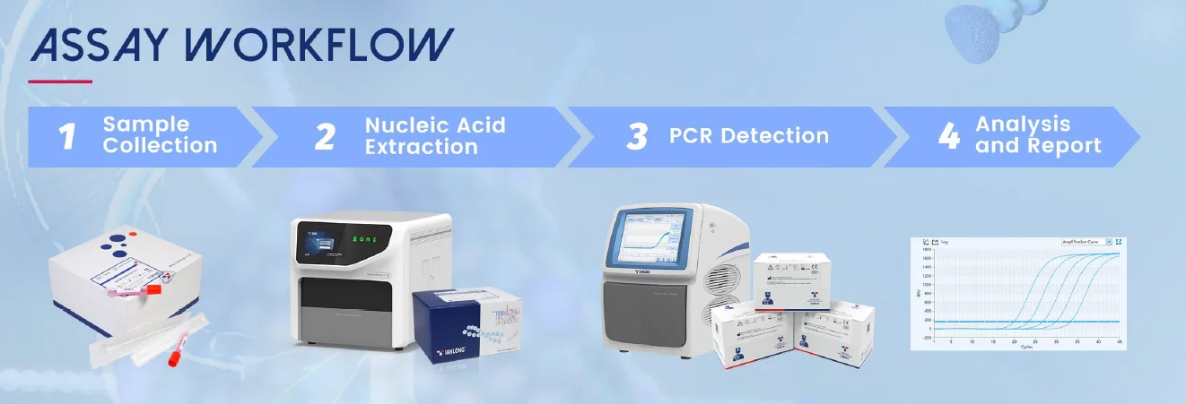 Kit PCR phát hiện MERS-CoV 5 Quy trình xét nghiệm Kit PCR phát hiện Adenovirus-Ad ở Người