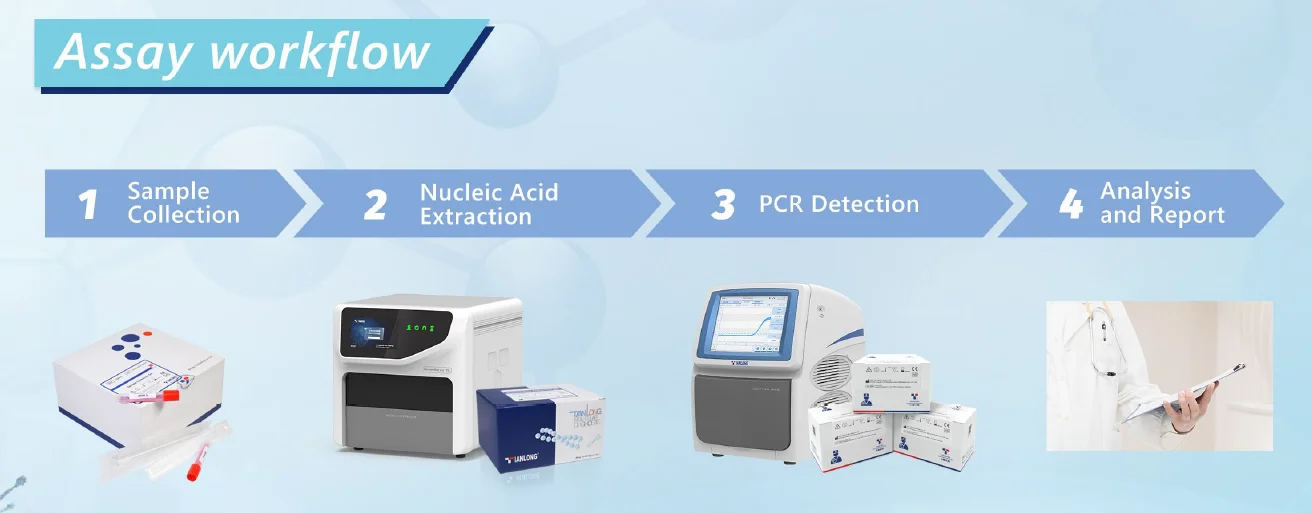 Kit PCR phát hiện Cúm A/Cúm B/ Adenovirus ở Người/2019-nCoV 6 Quy trình xét nghiệm Kit PCR phát hiện Cúm A-Cúm B- Adenovirus ở người-2019-nCoV