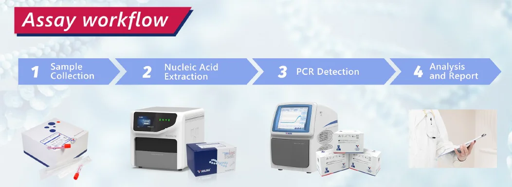 Quy trình xét nghiệm Kit PCR phát hiện đa kênh 12 loại virus hô hấp