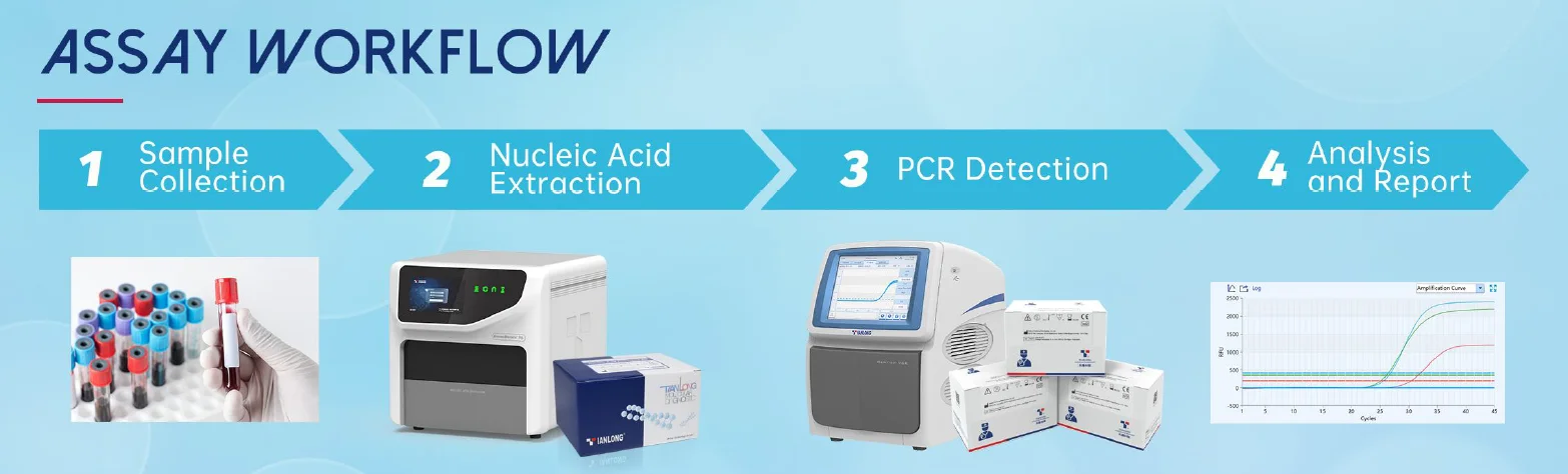 Kit PCR phát hiện virus Hantaan - Seoul - P068H 5 Quy trình xét nghiệm Kit PCR phát hiện đa kiểu gen virus sốt xuất huyết Dengue I-II-III-IV