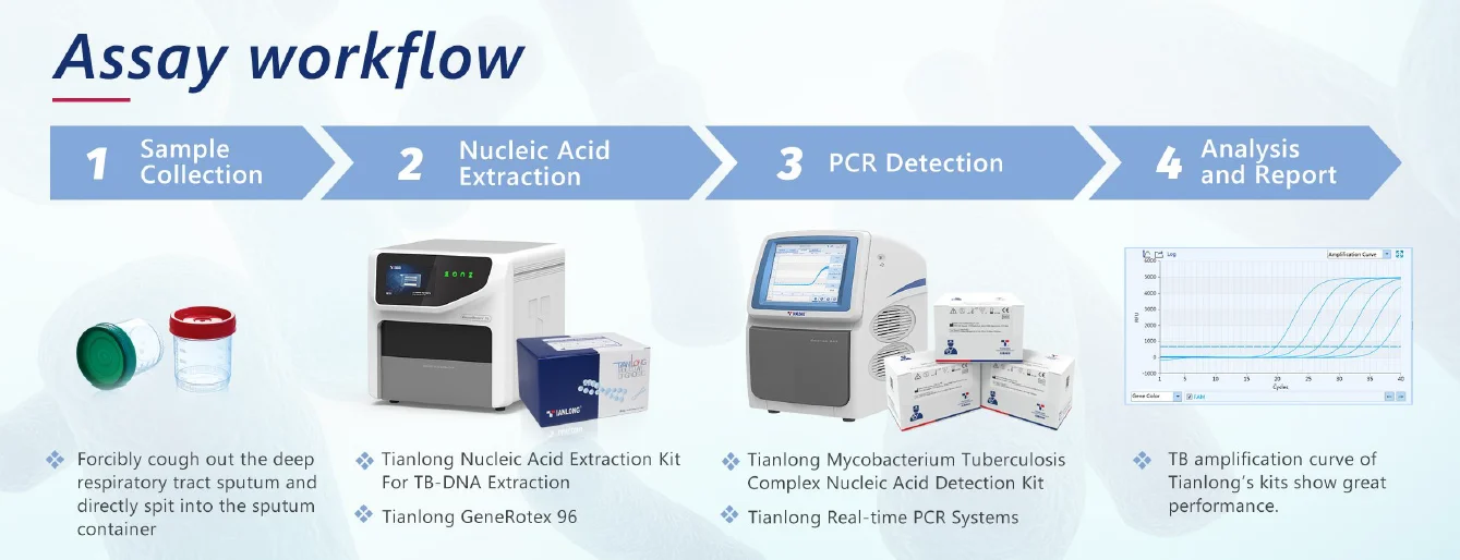 Quy trình xét nghiệm Kit PCR phát hiện phức hợp bệnh lao Mycobacteria