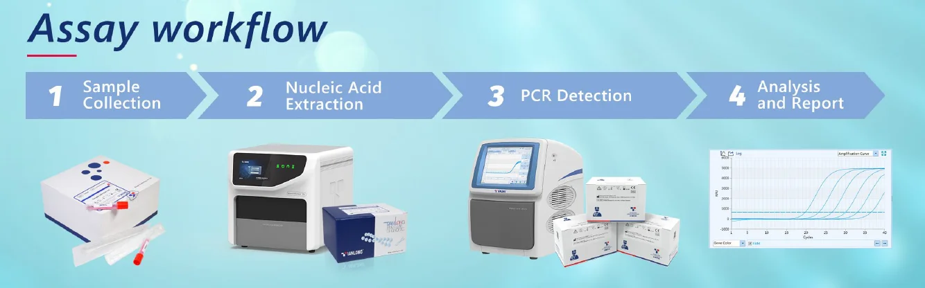 Quy trình xét nghiệm Kit PCR phát hiện viêm phổi Mycoplasma Pneumoniae (MP)