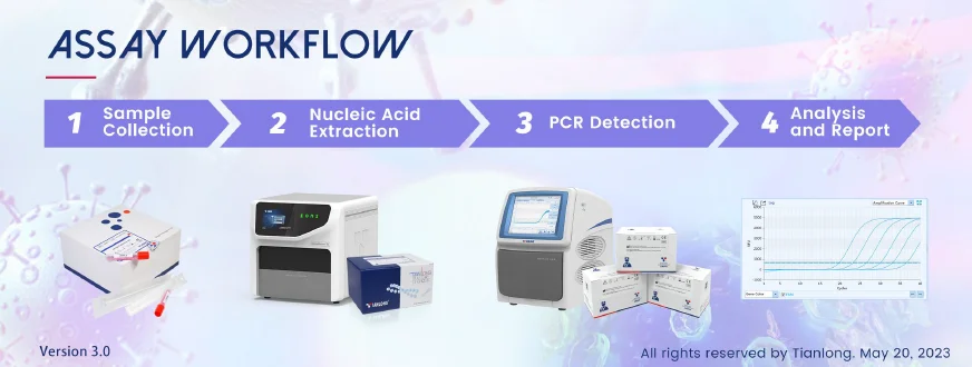 Kit PCR virus cúm A-B và virus hợp bào hô hấp ở Người 7 Quy trình xét nghiệm Kit PCR virus cúm A-B và virus hợp bào hô hấp ở Người