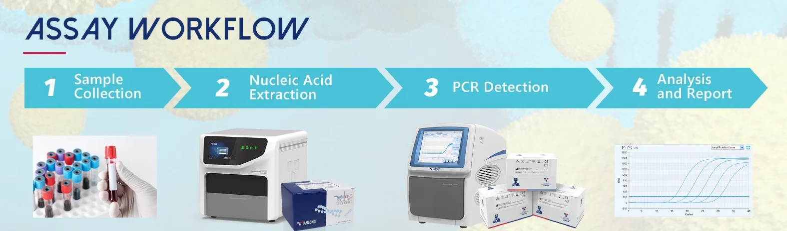Kit phát hiện RNA virus bệnh Heo Tai Xanh gây hội chứng hô hấp và sinh sản ở lợn (PRRSV) 8 Quy trình xét nghiệm Kit phát hiện RNA của virus lở mồm long móng (FMDV)