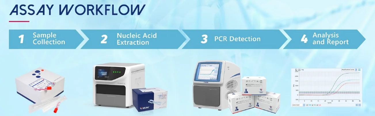 Quy trình xét nghiệm Kit phát hiện RNA virus cúm A-B