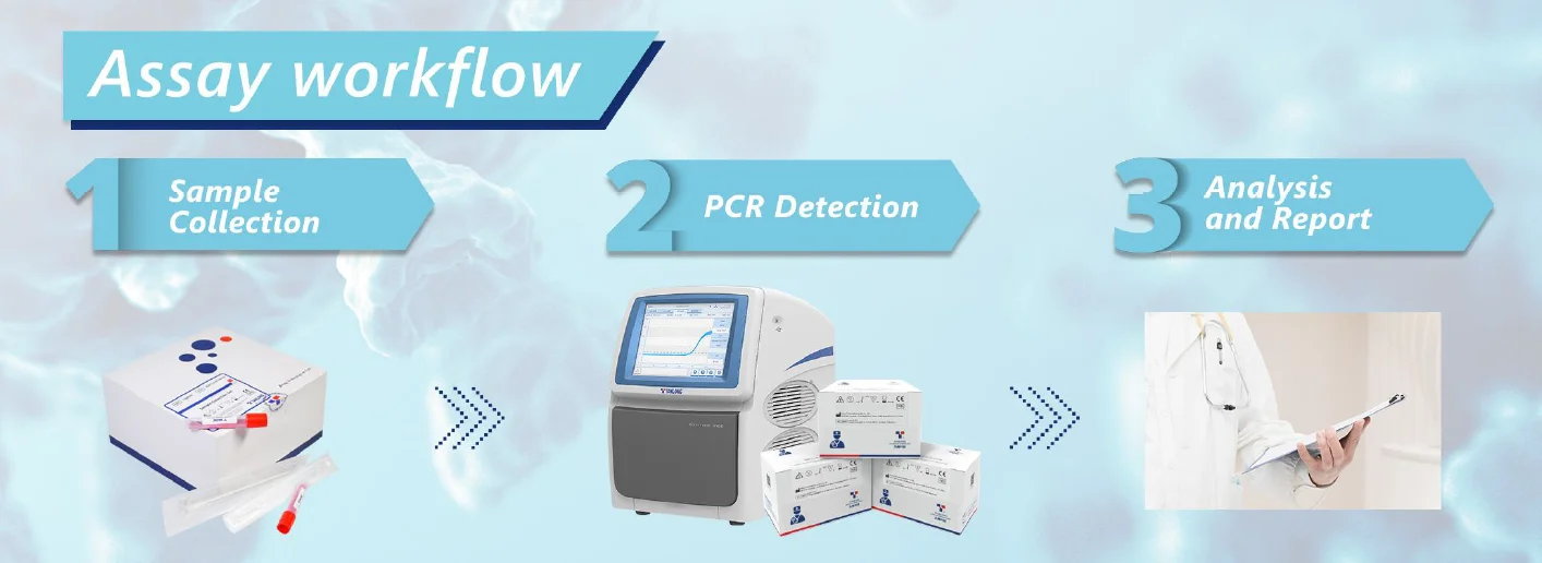 Kit phát hiện axit nucleic SARS-CoV-2 (Phương pháp RT-PCR Real Time) 6 Quy trình xét nghiệm Kit phát hiện axit nucleic SARS-CoV-2 (Phương pháp RT-PCR Real Time)