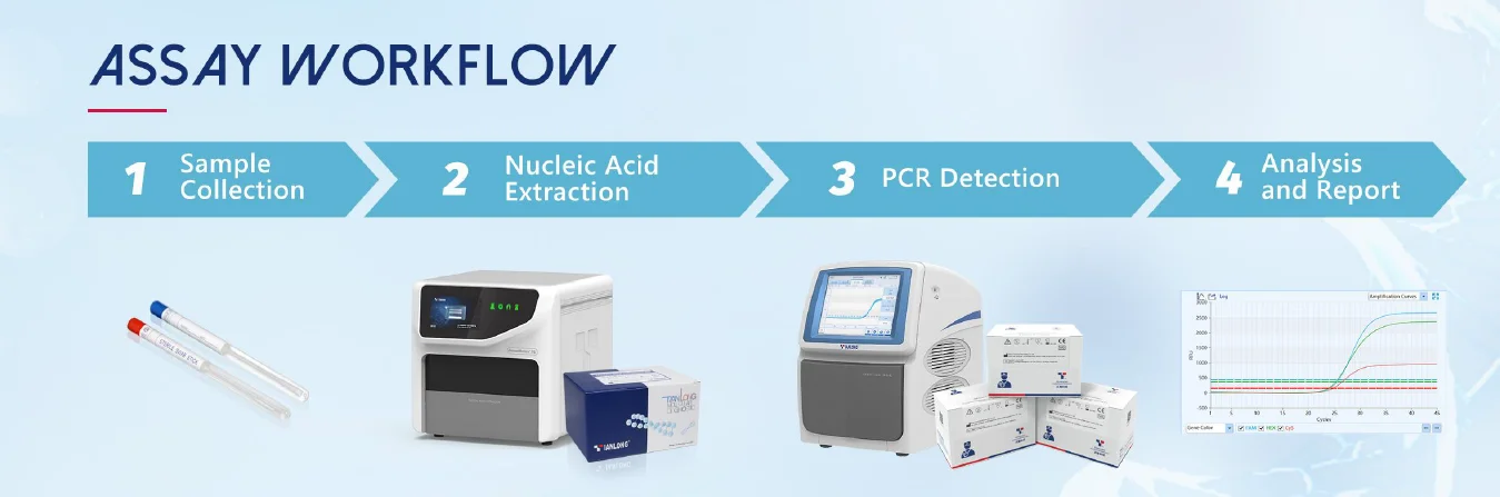 Quy trình xét nghiệm Kit phát hiện đa kênh axit nucleic CT-NG-UU-UP